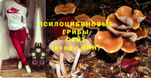 соль курить ск Михайлов