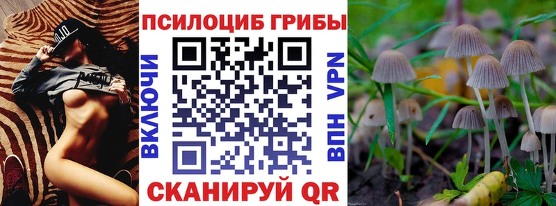 Псилоцибиновые грибы GOLDEN TEACHER  Зея 